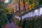 三千院の白壁と紅葉