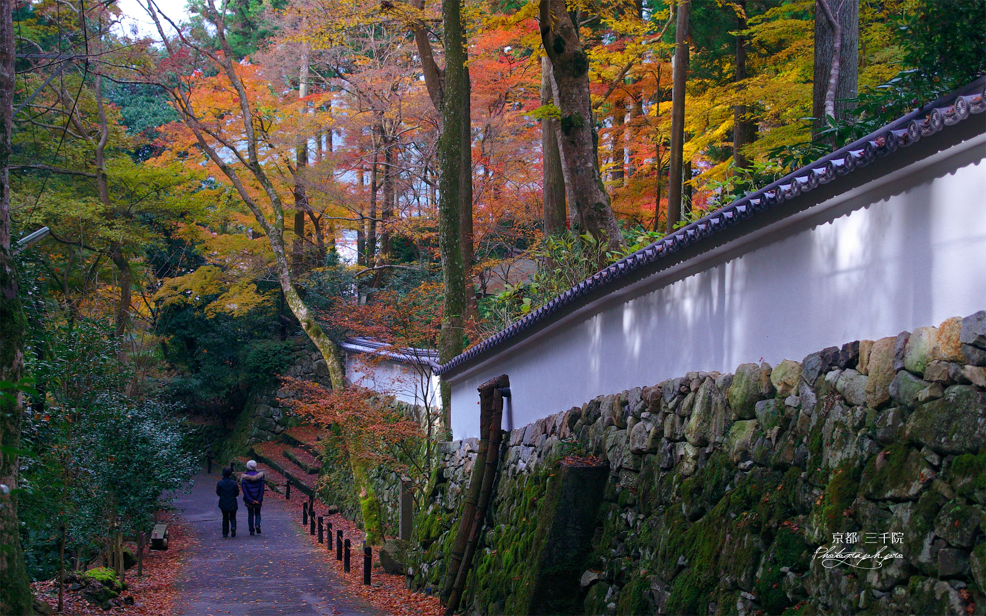 三千院の白壁と紅葉