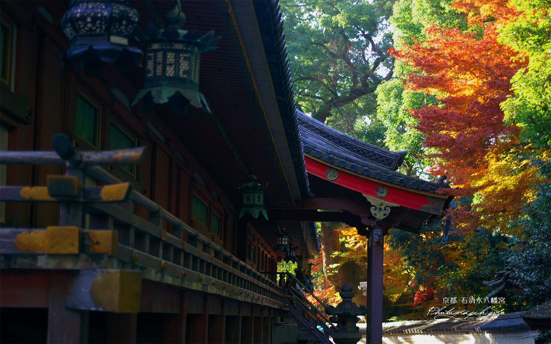 石清水八幡宮の回廊と紅葉