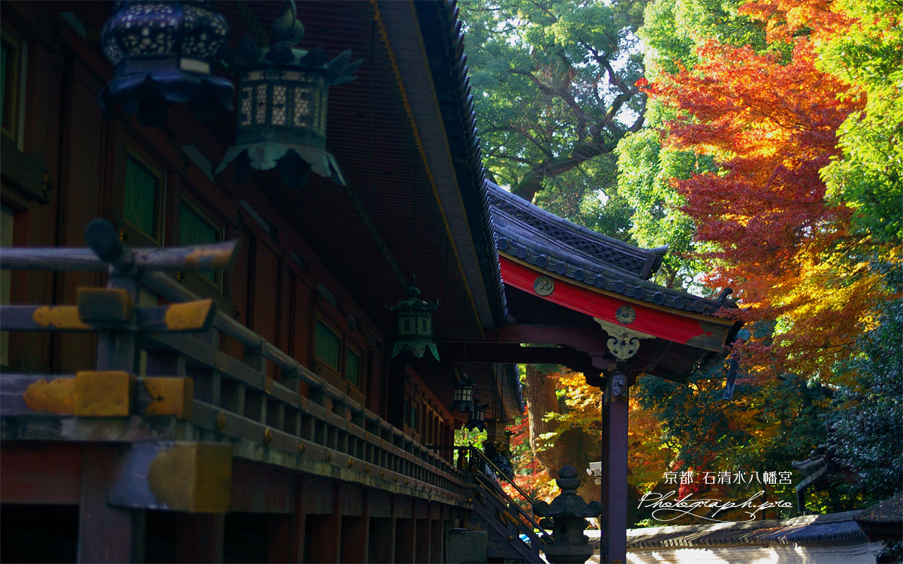 石清水八幡宮の回廊と紅葉 壁紙