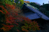 妙本寺 冬紅葉と祖師堂