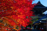 清凉寺 紅葉と仁王門