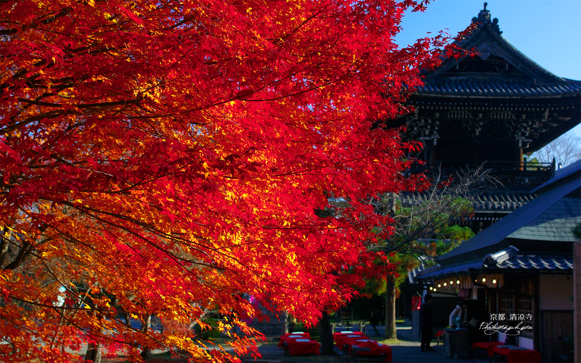 清凉寺 紅葉と仁王門