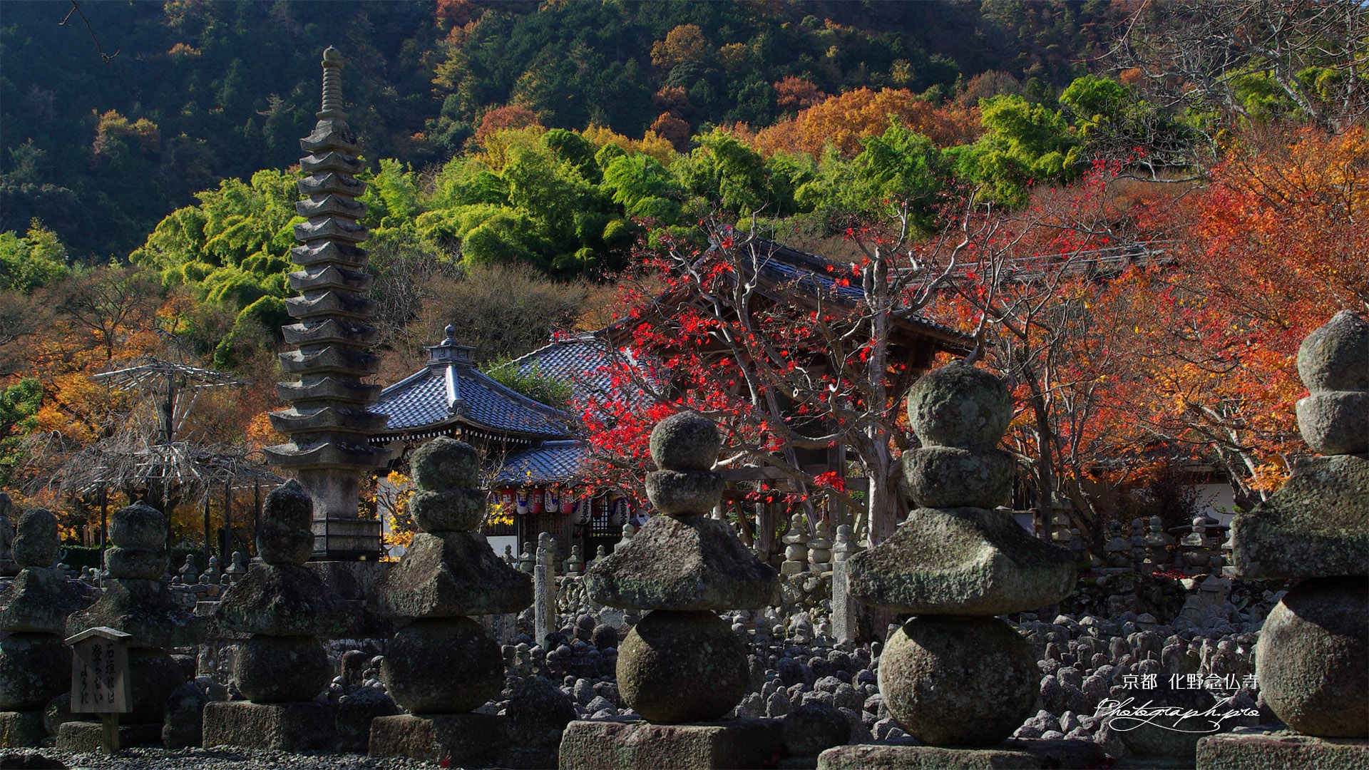 化野念仏寺 石塔と紅葉