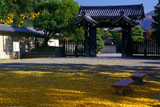 京都御苑寺町御門