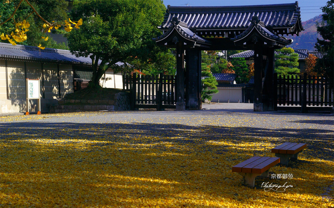 京都御苑寺町御門 壁紙