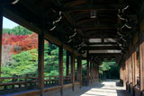 平安神宮 泰平閣から神苑の紅葉
