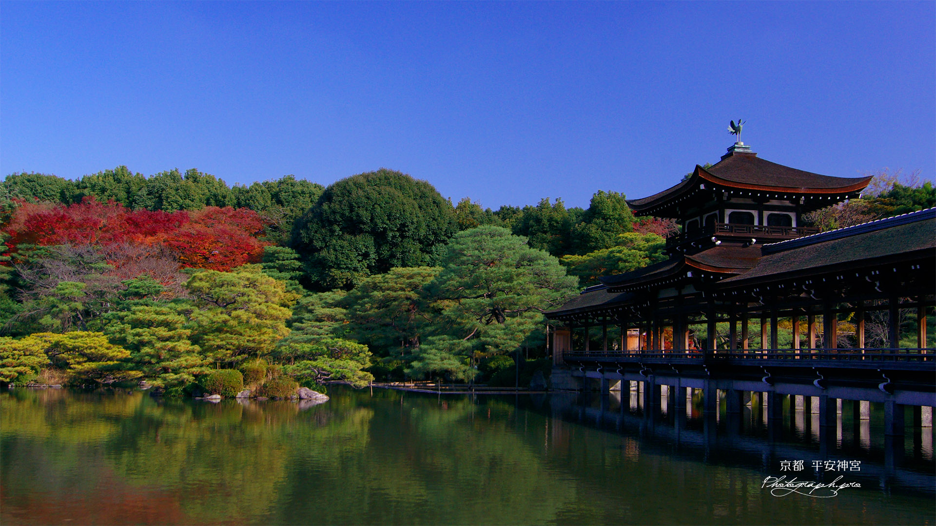 平安神宮 東神苑の紅葉