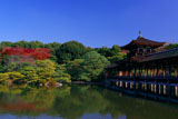平安神宮 東神苑の紅葉