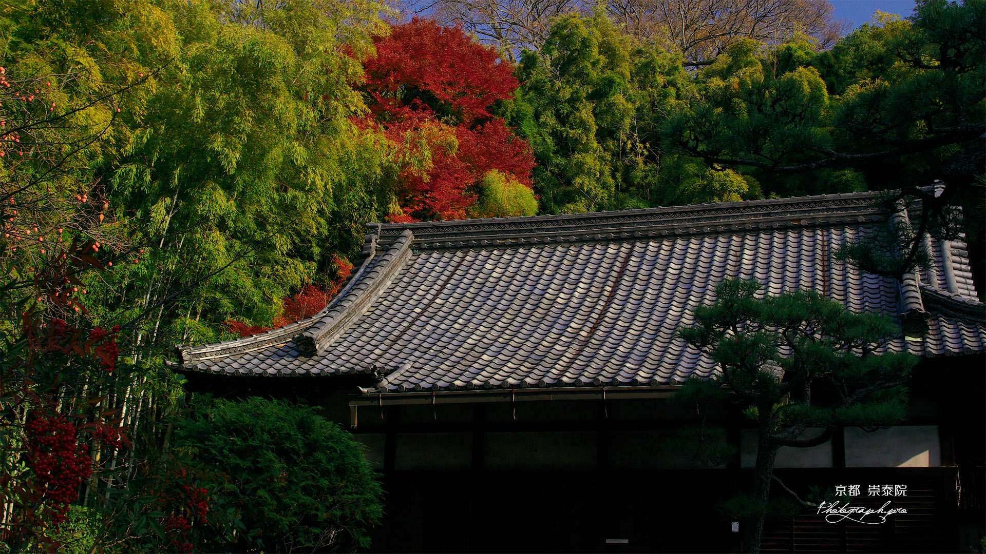 崇泰院 本堂と紅葉