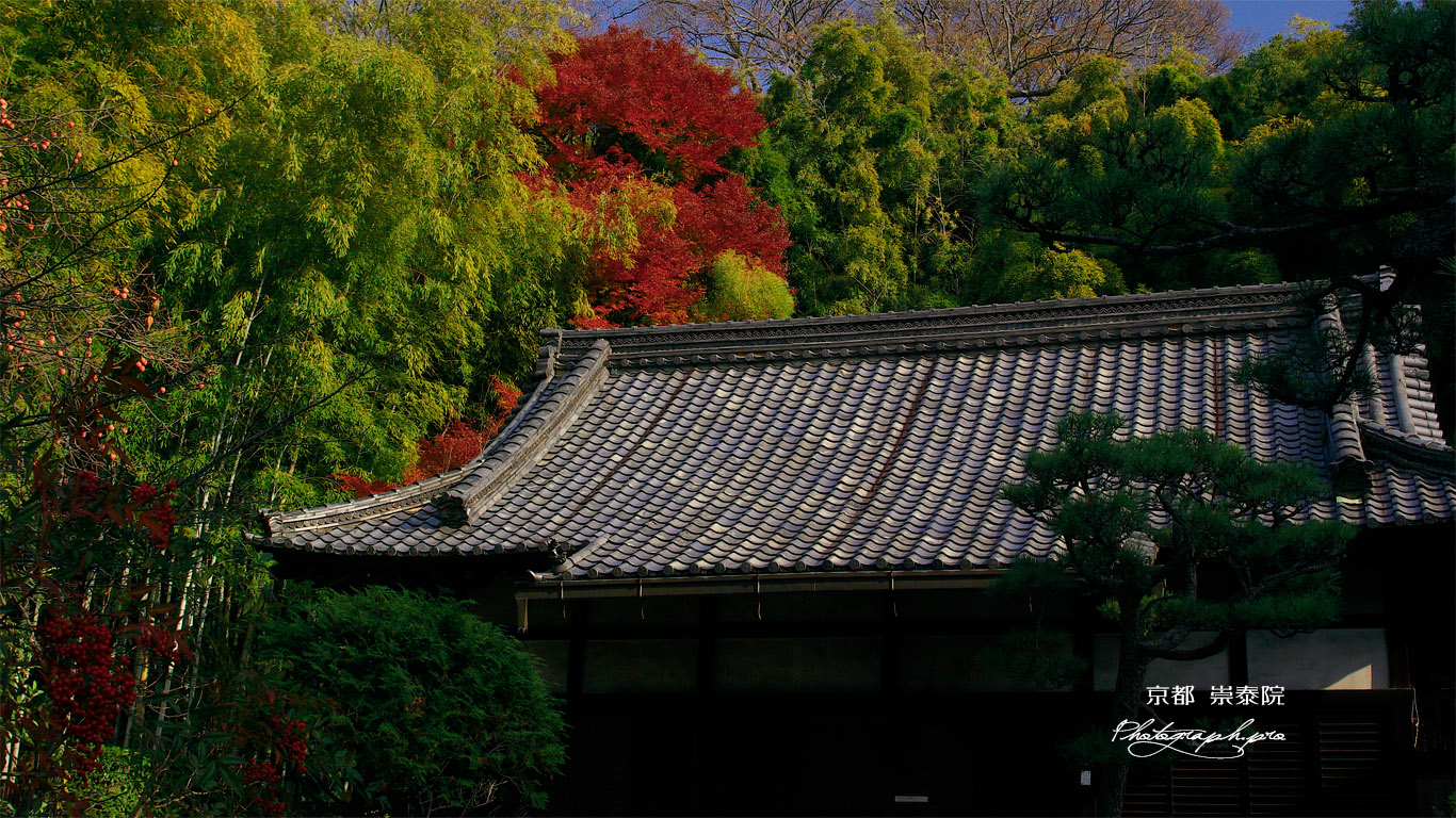 崇泰院 本堂と紅葉 壁紙