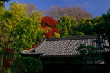 知恩院崇泰院