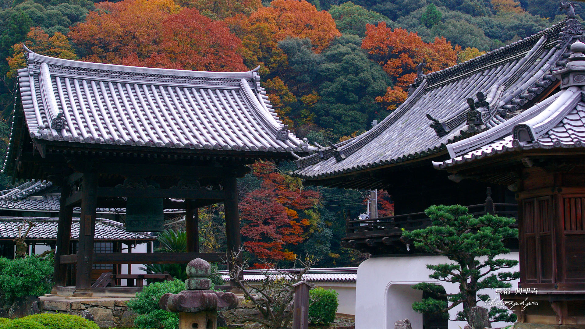 晩秋の興聖寺堂宇