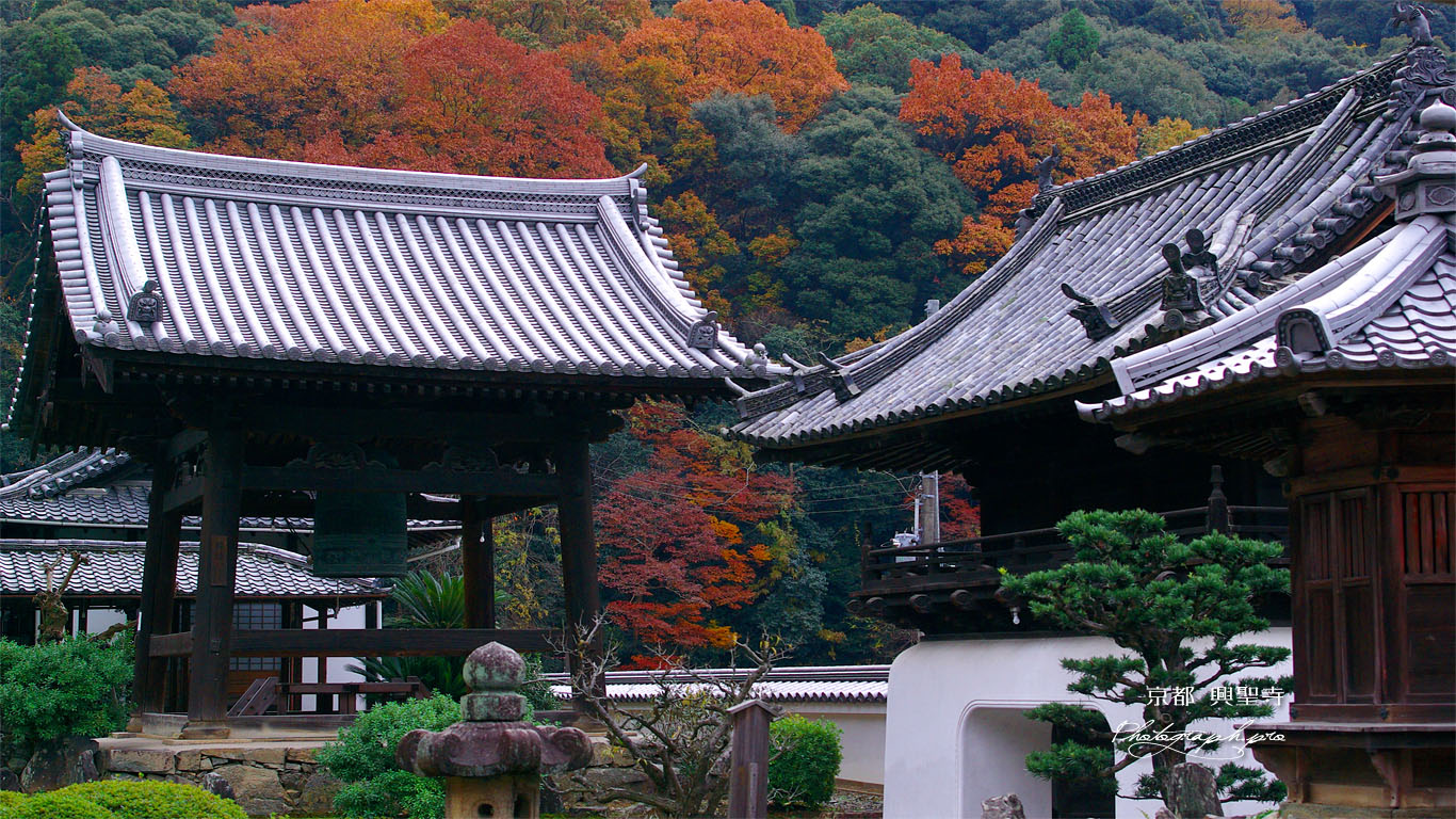 晩秋の興聖寺堂宇 壁紙