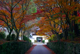 宇治・興聖寺琴坂の紅葉
