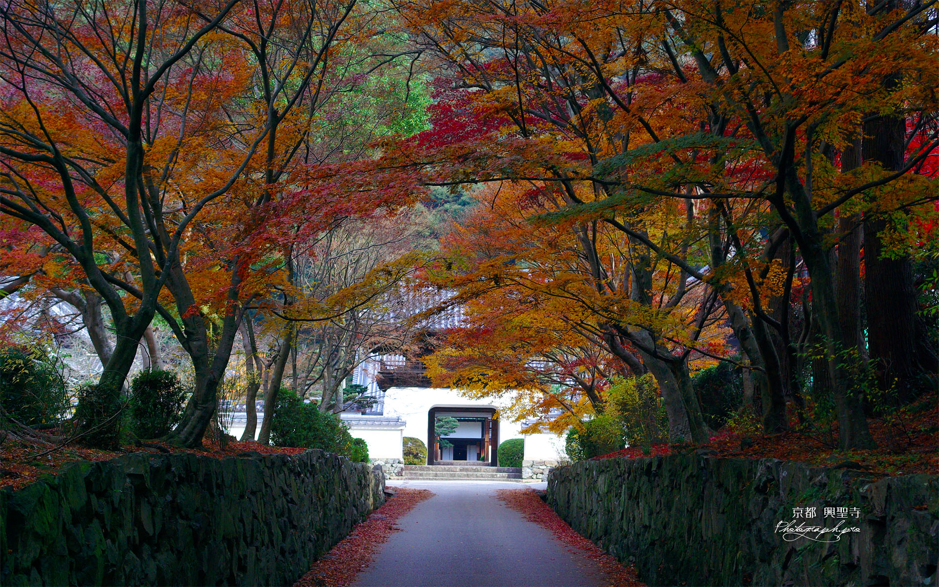 宇治・興聖寺琴坂の紅葉