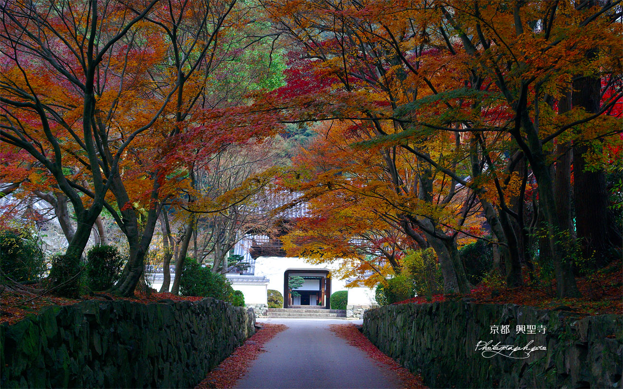 宇治・興聖寺琴坂の紅葉 壁紙