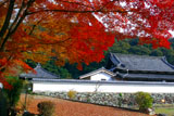 紅葉と興聖寺衆寮