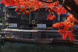 宇治 紅葉越しの紅葉船