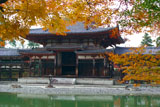 平等院 紅葉と鳳凰堂中堂