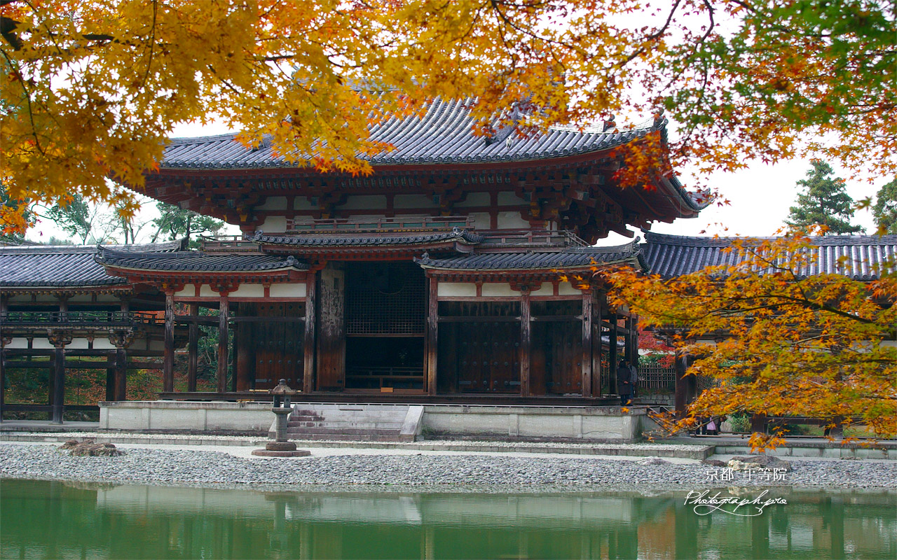 平等院 紅葉と鳳凰堂中堂 壁紙