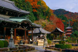 紅葉の三室戸寺