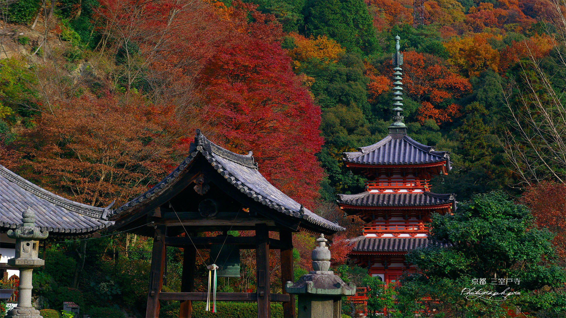 三室戸寺三重塔と紅葉