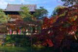 紅葉の萬福寺三門