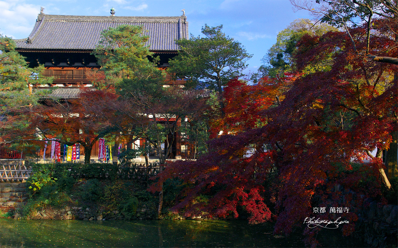紅葉の萬福寺三門 壁紙