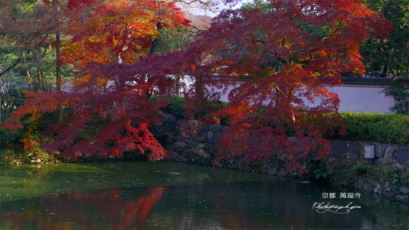 紅葉の萬福寺放生池 壁紙