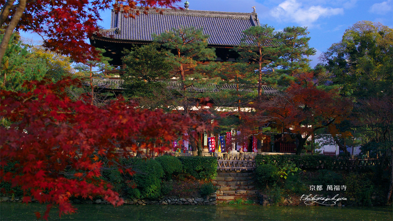 紅葉越しの萬福寺山門 壁紙