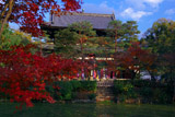 紅葉越しの萬福寺山門