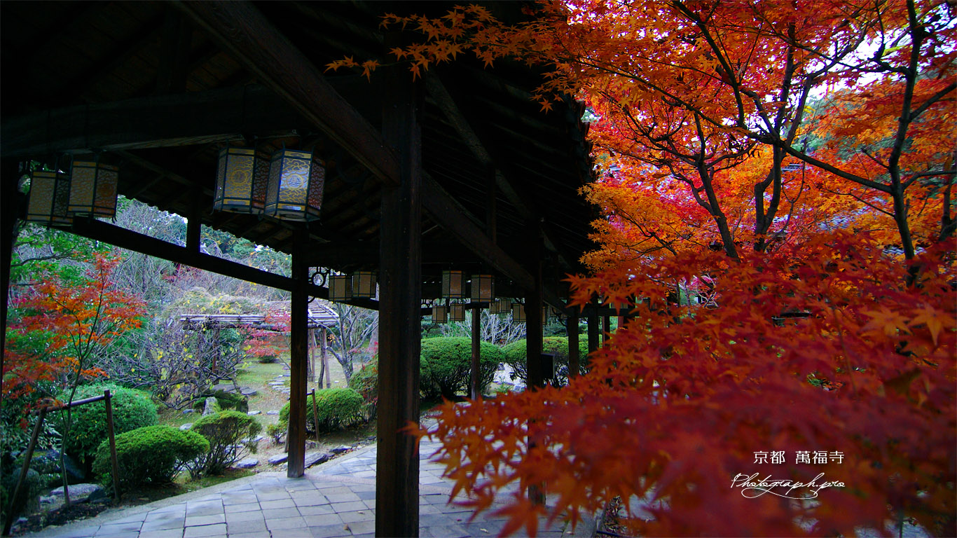 紅葉の萬福寺回廊 壁紙