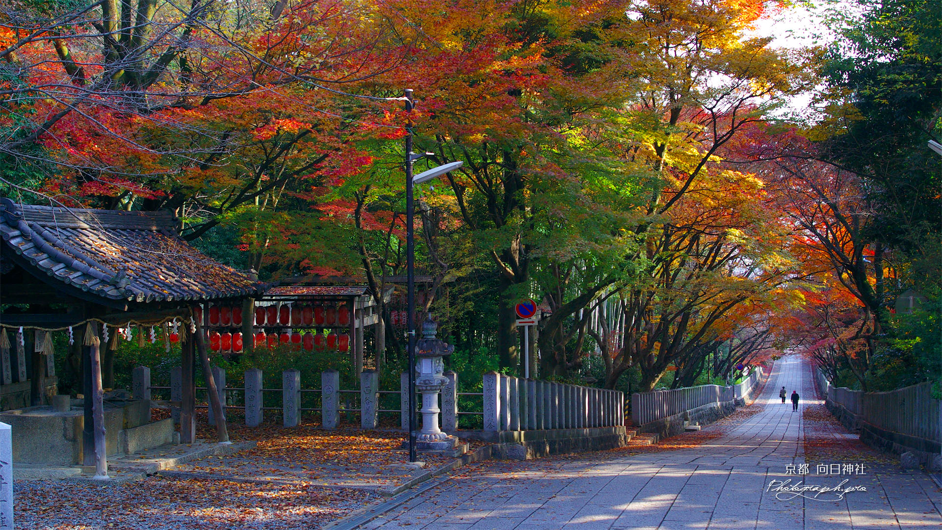 向日神社手水舎と参道の紅葉