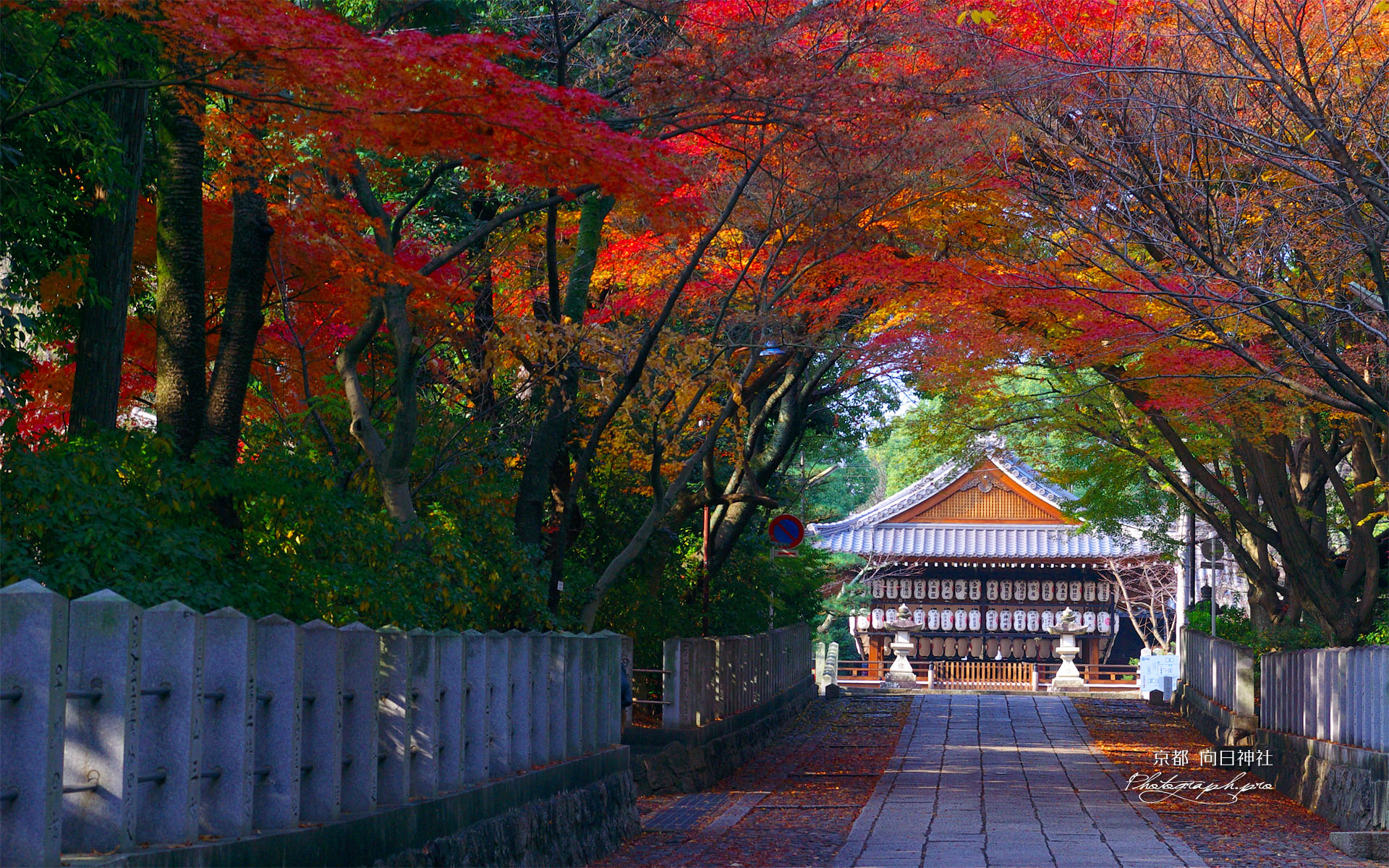 向日神社参道と舞楽殿の紅葉