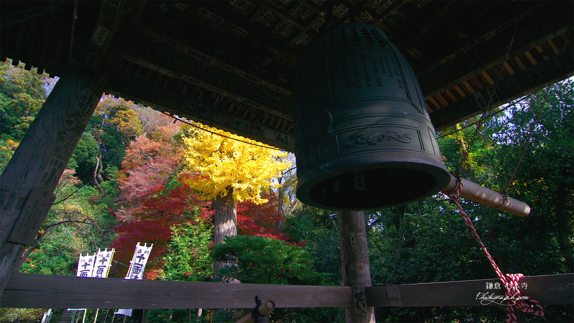 鎌倉 杉本寺鐘楼越しの紅葉