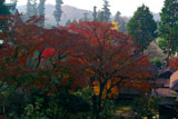 紅葉の円覚寺境内