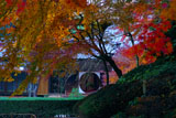 明月院の冬紅葉