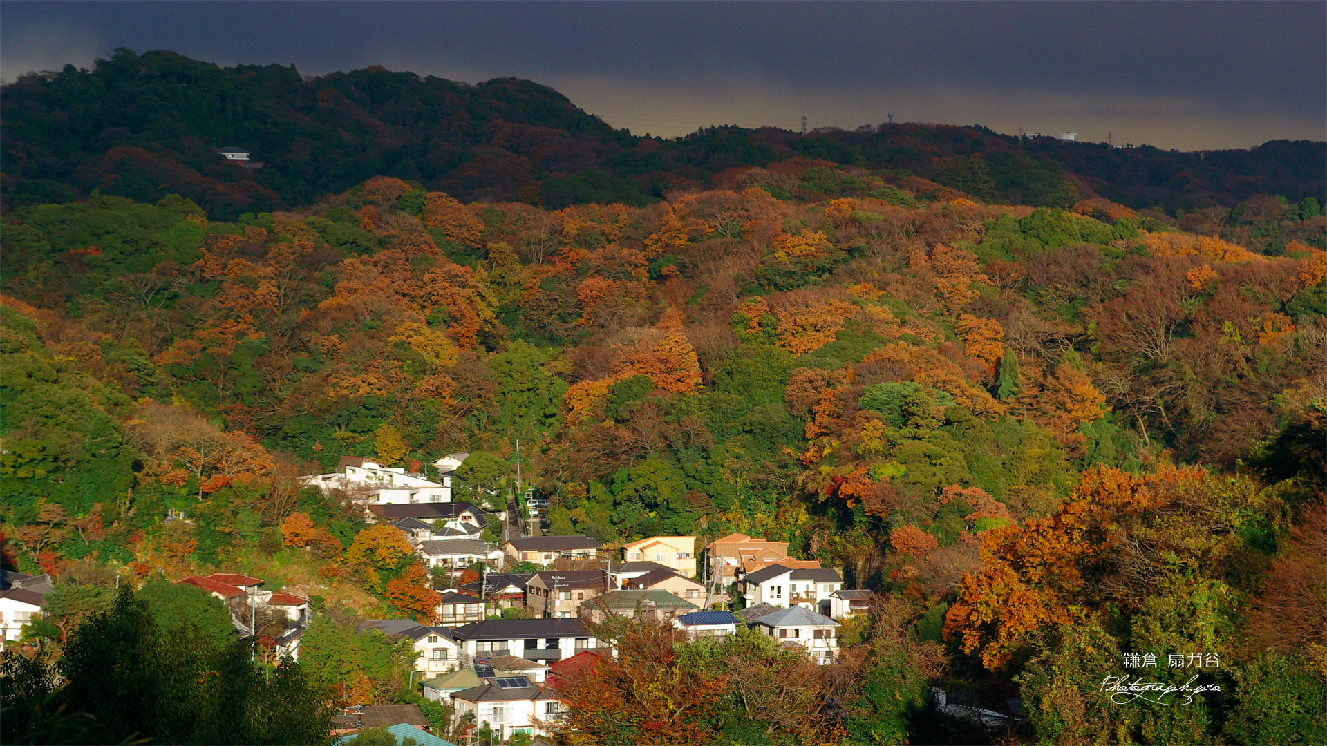 源氏山公園から紅葉の扇ガ谷