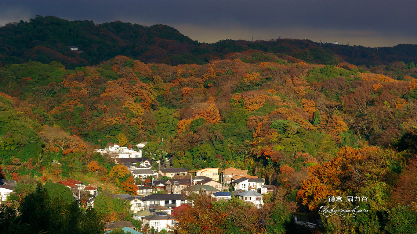 源氏山公園から紅葉の扇ガ谷 壁紙
