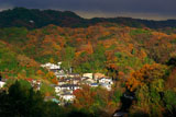 源氏山公園から紅葉の扇ガ谷