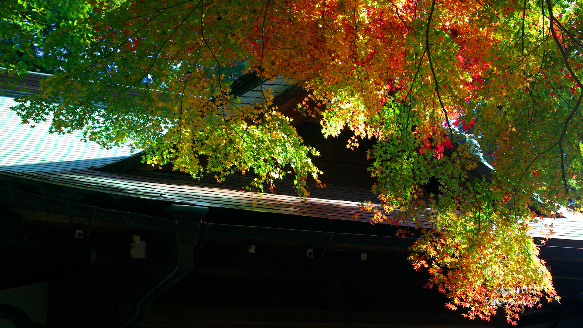 鎌倉宮 紅葉と宝物殿