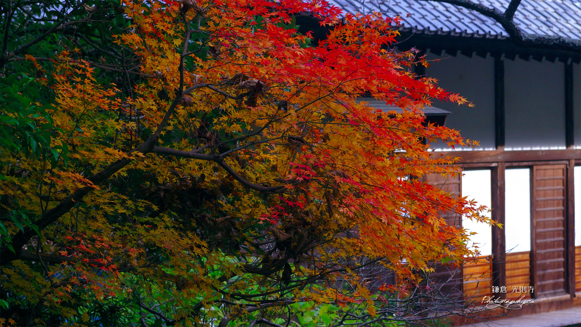 光則寺の残り紅葉と本堂