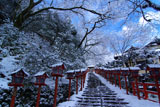 貴船神社 南参道の雪の華