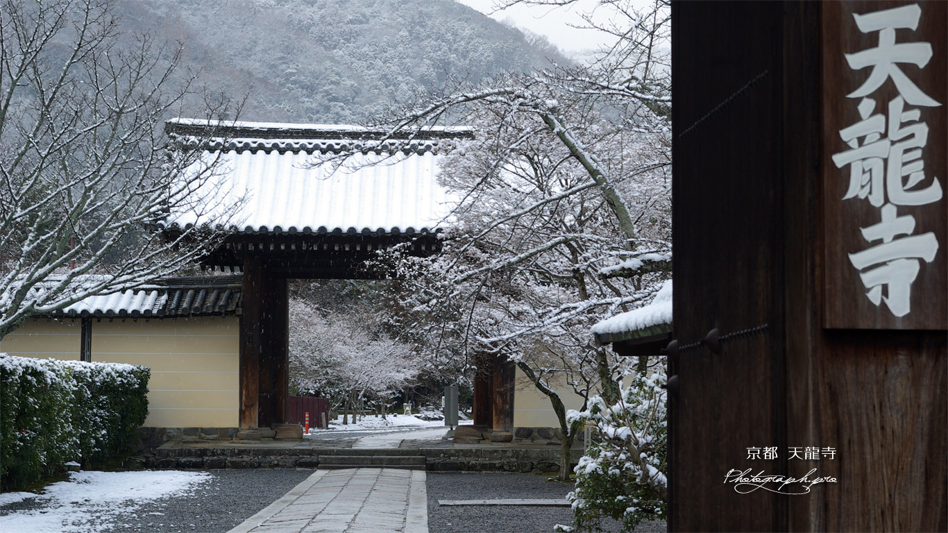天龍寺総門からの中門 壁紙
