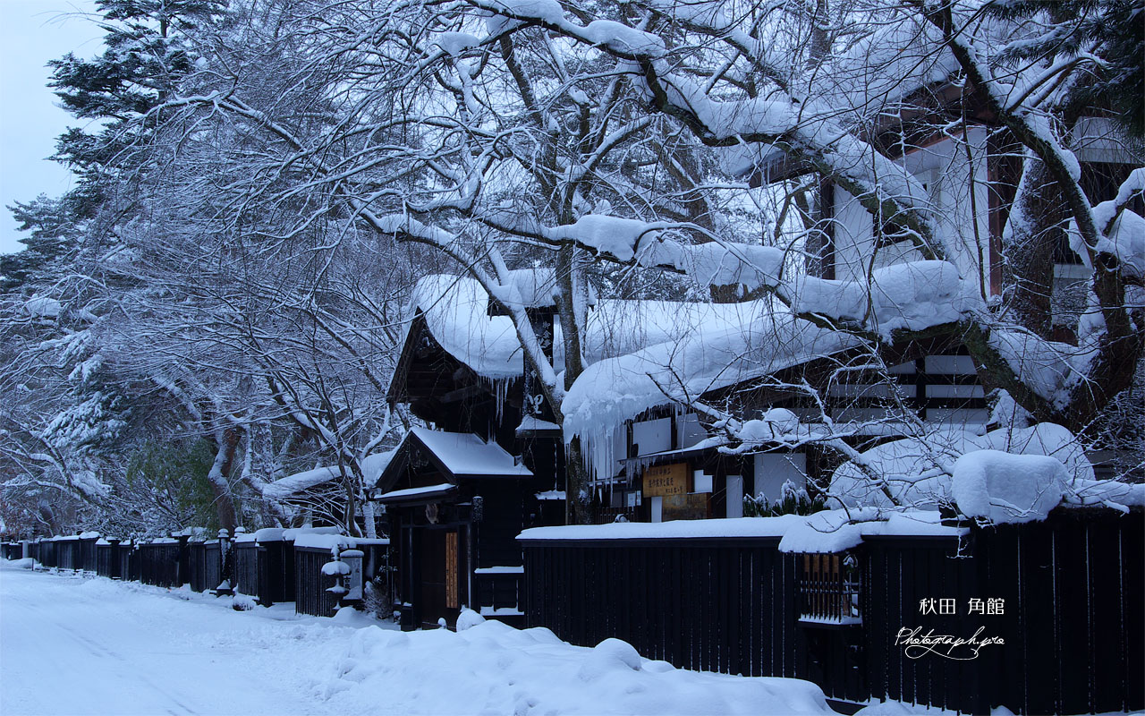 角館武家屋敷の雪の華 壁紙