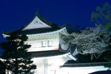 二条城 夜桜ライトアップ
