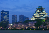 大阪城公園の桜 桃山建築と現代建築
