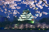 大阪城公園の桜 西の丸庭園の夜桜