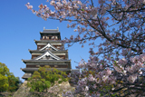 広島城の桜 天守閣